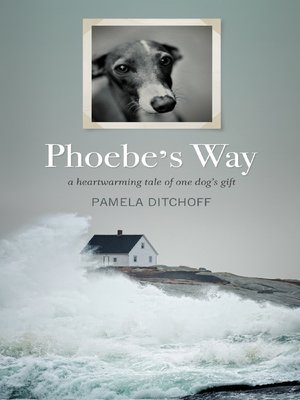 Phoebe's Way - ebook